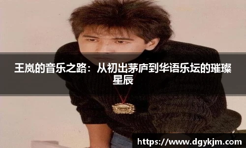 王岚的音乐之路：从初出茅庐到华语乐坛的璀璨星辰