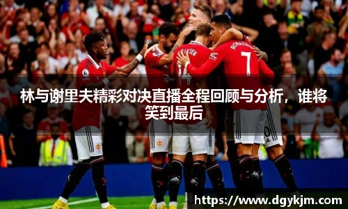 林与谢里夫精彩对决直播全程回顾与分析，谁将笑到最后