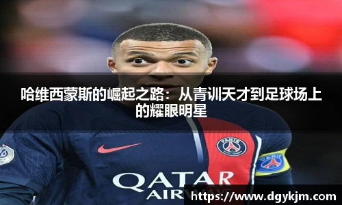 智博19有限公司