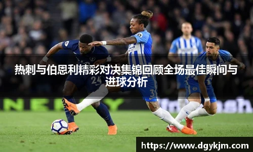 智博19有限公司