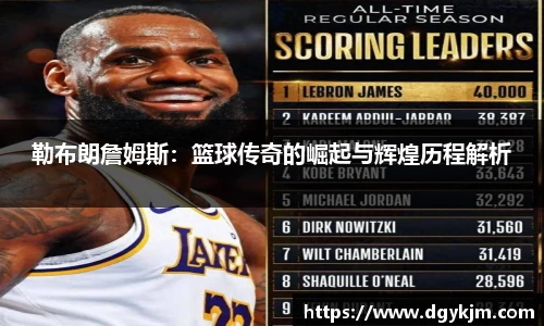 智博19有限公司